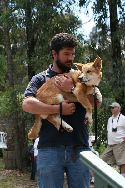 Jirrahlinga Koala & Wildlife Sanctuary - Darwin Holiday 2