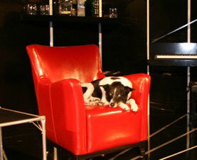 Old Fitzroy Theatre - Darwin Holiday 0