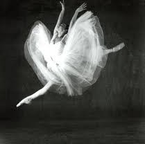 Glen Street Theatre - Darwin Holiday 3