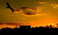 Werribee Open Range Zoo - Darwin Holiday 1