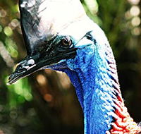 Alma Park Zoo - Darwin Holiday
