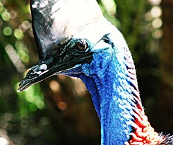 Alma Park Zoo - Darwin Holiday 0