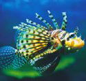 Underwater World - Darwin Holiday