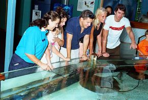 Underwater World - Darwin Holiday 3