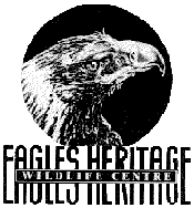 Eagles Heritage - Darwin Holiday