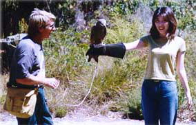 Eagles Heritage - Darwin Holiday 2