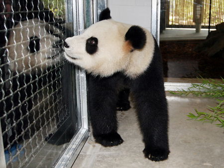 Adelaide Zoo - Darwin Holiday 3