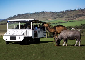 Zoo Doo Wildlife Park - Darwin Holiday 2