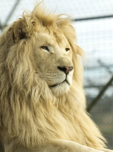 Zoo Doo Wildlife Park - Darwin Holiday 3