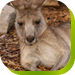 Bossley Park NSW Darwin Holiday