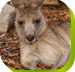 Calmsley Hill City Farm - Darwin Holiday