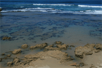 Braddon ACT Darwin Holiday