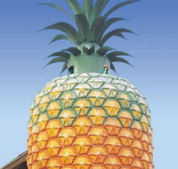 The Big Pineapple - Darwin Holiday