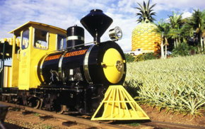 The Big Pineapple - Darwin Holiday 3