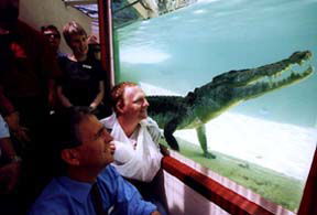Alice Springs Reptile Centre - Darwin Holiday 1