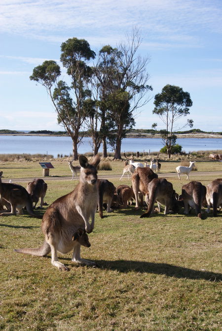 East Coast Natureworld - Darwin Holiday 1