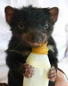 East Coast Natureworld - Darwin Holiday 2