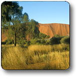 Uluru - Kata Tjuta National Park - Darwin Holiday 0