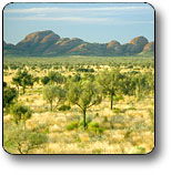 Uluru - Kata Tjuta National Park - Darwin Holiday 2