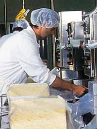 Allansford Cheese World - Darwin Holiday 1