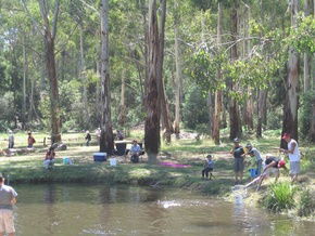 Buxton Trout And Salmon Farm - Darwin Holiday 3