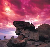 Kangaroo Island Adventure Tour 2 day/1 night - Darwin Holiday