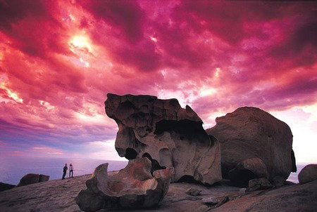 Kangaroo Island Adventure Tour 2 Day/1 Night - Darwin Holiday 0