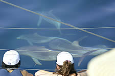 Temptation Sailing - Darwin Holiday 2