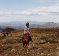 High Country Horses - Darwin Holiday