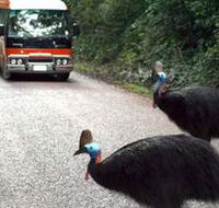 Kookaburra Tours - Darwin Holiday