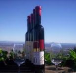 Mount Tamborine Winery  Homestead - Darwin Holiday