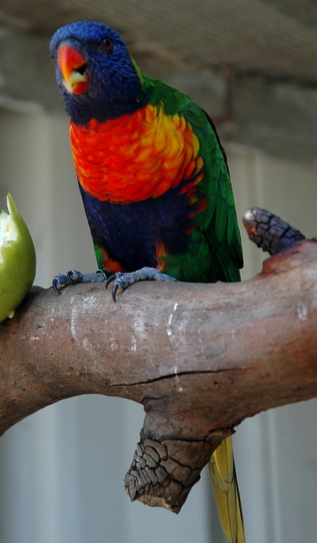 Bunbury Wildlife Park - Darwin Holiday 3