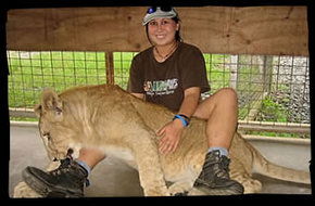 Cairns Wildlife Safari Reserve - Darwin Holiday 1