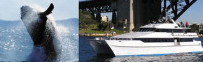 Prestige Harbour Cruises - Darwin Holiday 3