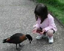 Urimbirra Wildlife Park - Darwin Holiday 3