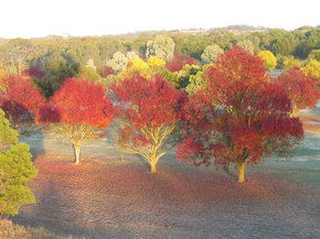 Balloon Adventures Barossa Valley - Darwin Holiday 3