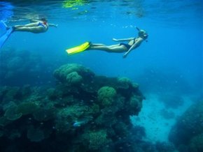 Three Islands Whale Shark Dive - Darwin Holiday 3