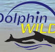 Dolphin Wild - Darwin Holiday