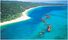 Dolphin Wild - Darwin Holiday 3