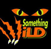 Something Wild - Darwin Holiday
