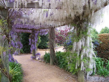 Abingdon Miniature Village - Darwin Holiday 0