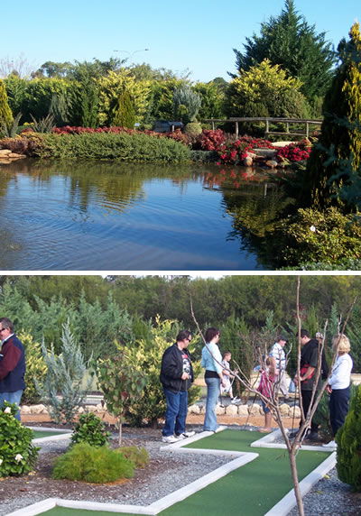 Abingdon Miniature Village - Darwin Holiday 2