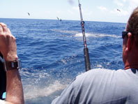 Downunder Charters - Darwin Holiday 3