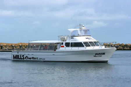 Mills Charters Fishing And Whale Watch Cruises - Darwin Holiday 1