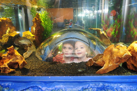 Scitech - Darwin Holiday 3