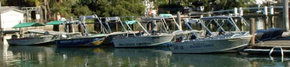 Brooklyn Central Boat Hire & General Store - Darwin Holiday 1