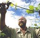 Barossa Experience Tours - Darwin Holiday