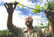 Barossa Experience Tours - Darwin Holiday 0