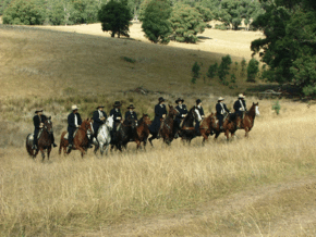 McCormacks Mountain Valley Trail Rides - Darwin Holiday