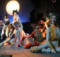 Harvest Rain Theatre Company - Darwin Holiday